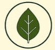 leafIcon